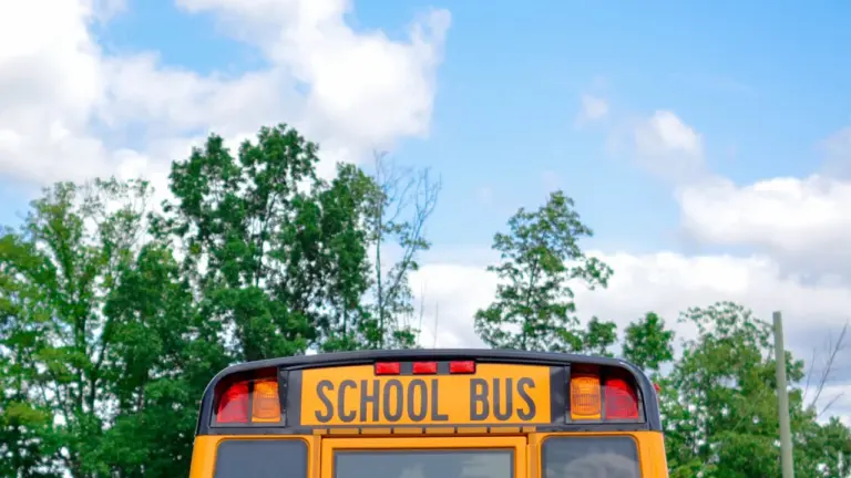 Żółty autobus szkolny na tle drzew w słoneczny dzień, przygotowania do roku szkolnego.