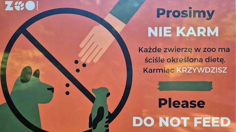 Gdańsk: winogrona mogły zaszkodzić orangutanowi