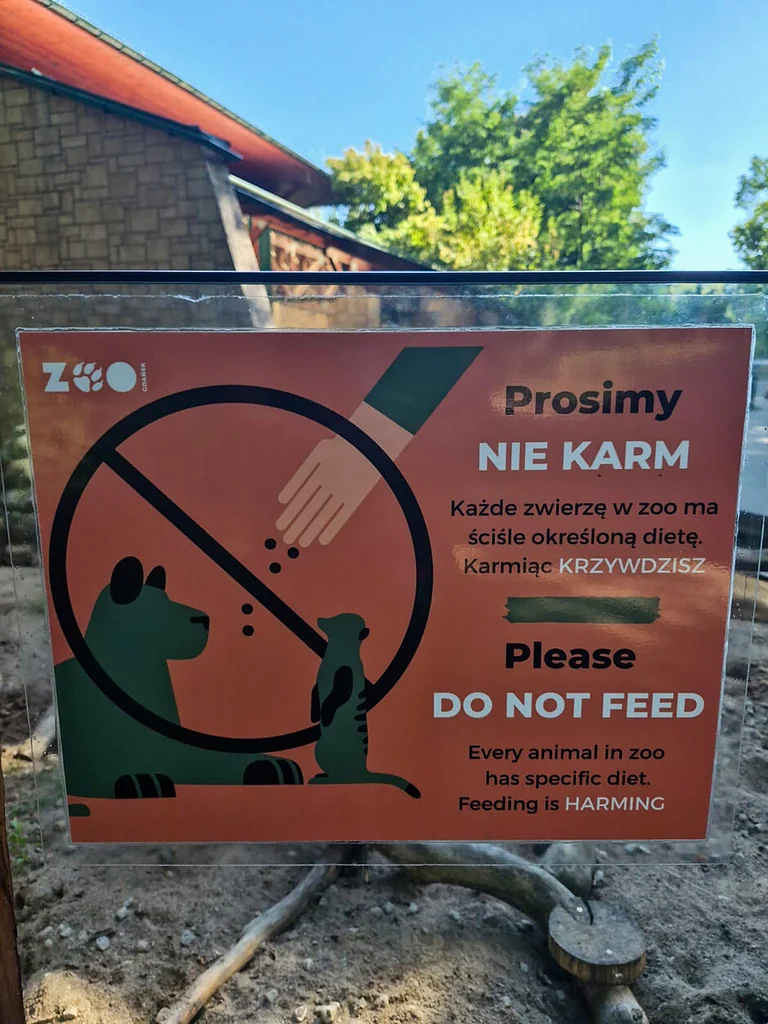 Gdańsk: winogrona mogły zaszkodzić orangutanowi