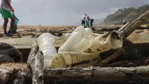 Plastikowe butelki zebrane podczas akcji sprzątania plaży przez grupę wolontariuszy w tle.