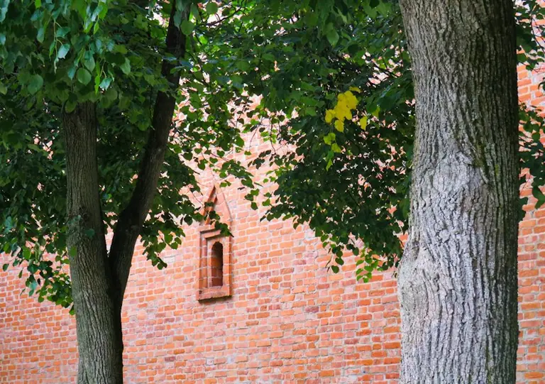 Smoleńsk w 1610 roku: miasto na zmiennym pograniczu